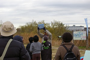 『野鳥観察