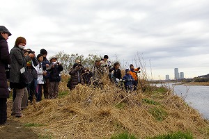 『野鳥観察