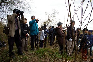 『野鳥観察