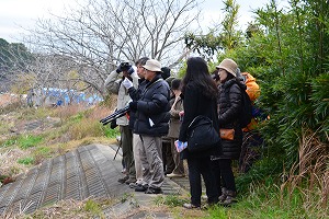 『野鳥観察