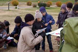 『野鳥観察