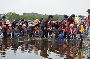 川の生き物観察「野草摘み」