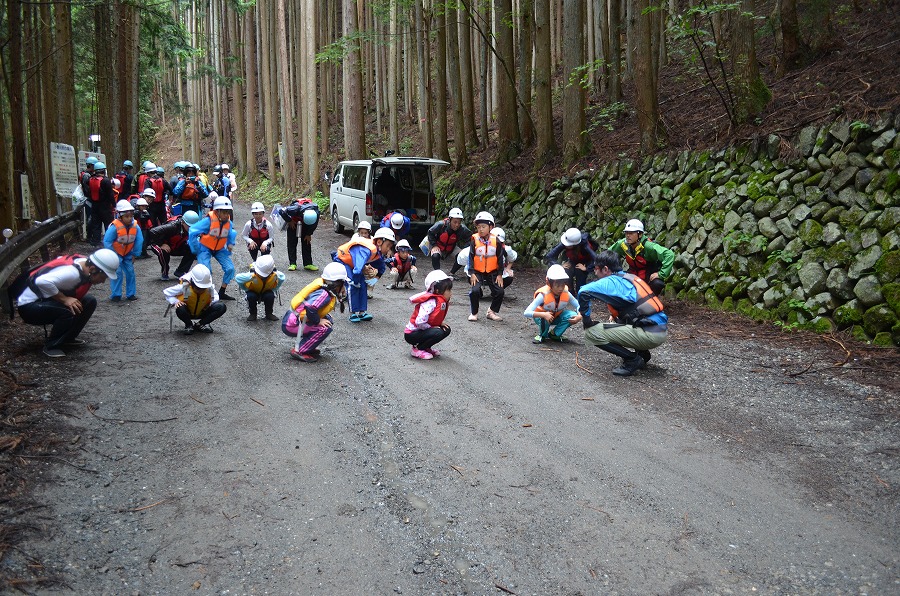 渓流登りと川遊び