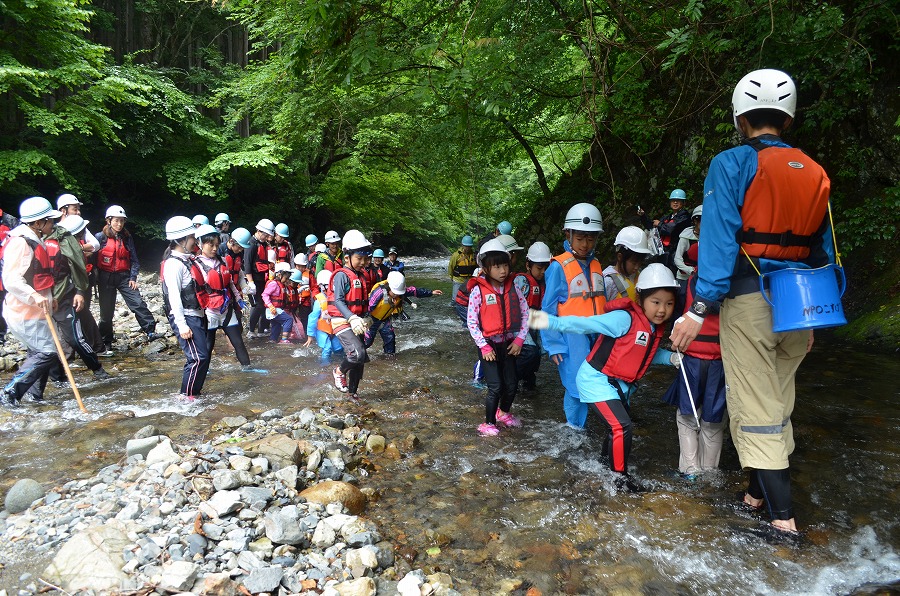 渓流登りと川遊び