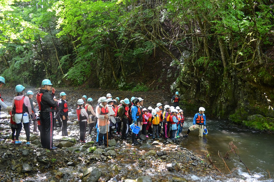 渓流登りと川遊び