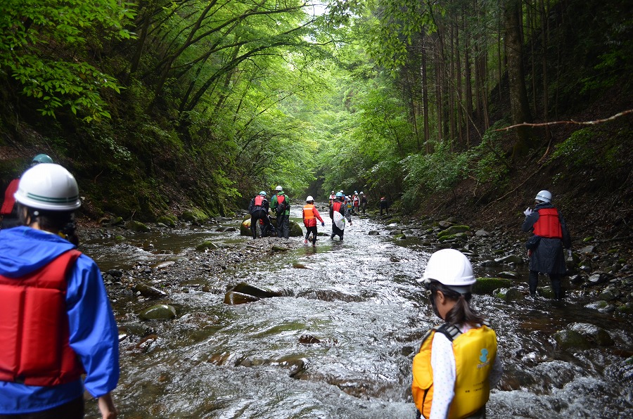 渓流登りと川遊び