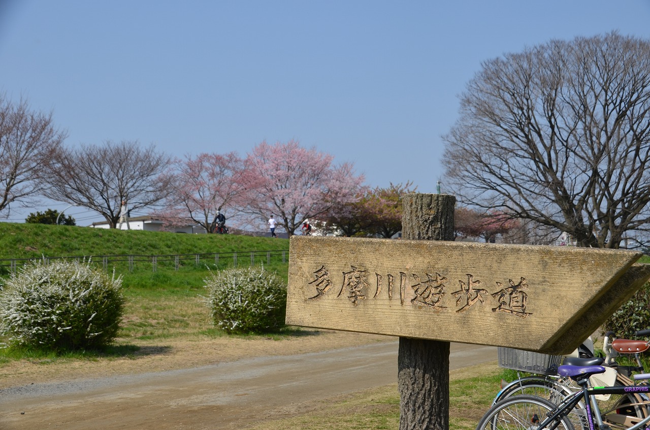 多摩川クリーン作戦