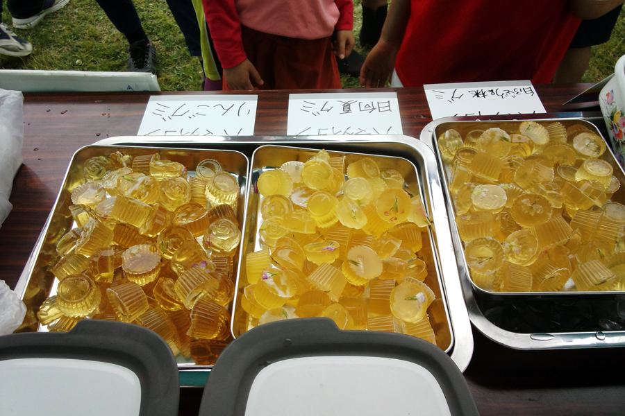 とどろき水辺の楽校　開校式