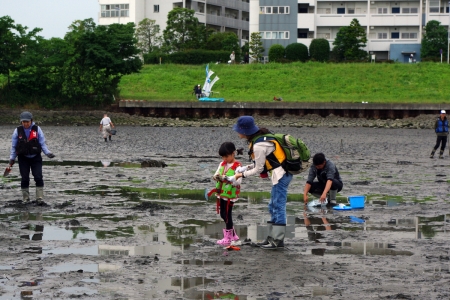 河口干潟観察会