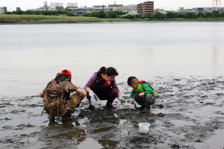 河口干潟観察会