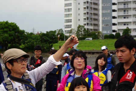 河口干潟観察会