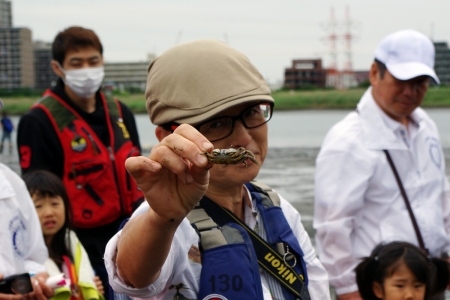 河口干潟観察会