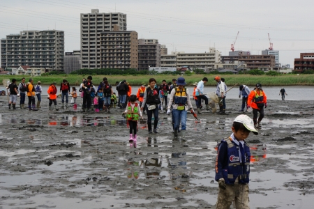 河口干潟観察会