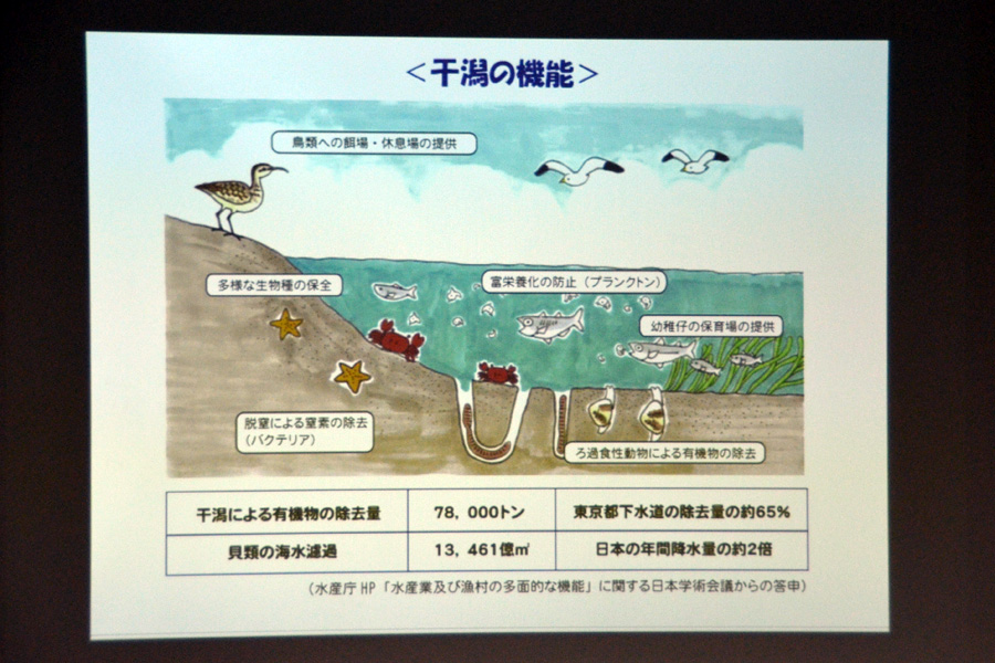 多摩川河口干潟の生きもの観察会