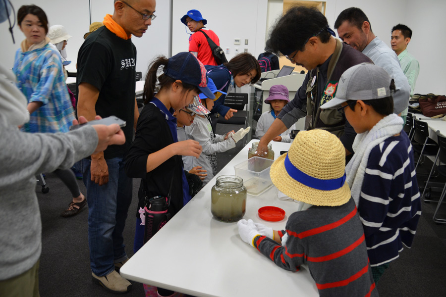 多摩川河口干潟の生きもの観察会