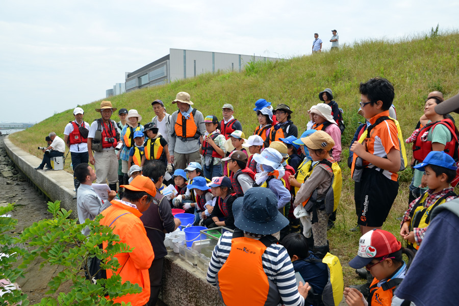 多摩川河口干潟の生きもの観察会