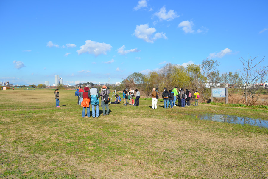 野鳥観察会