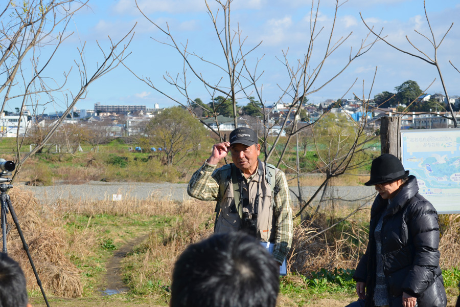 野鳥観察会