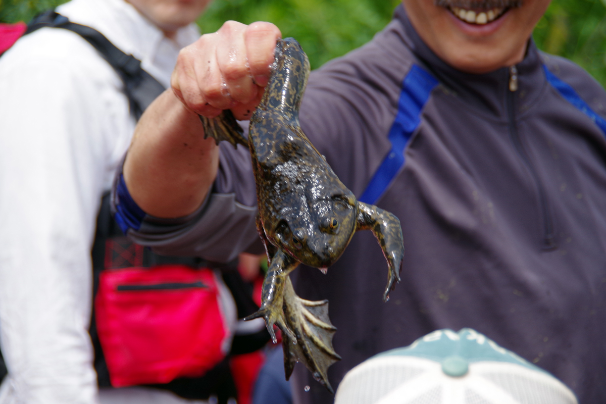 とどろき水辺の楽校開校式