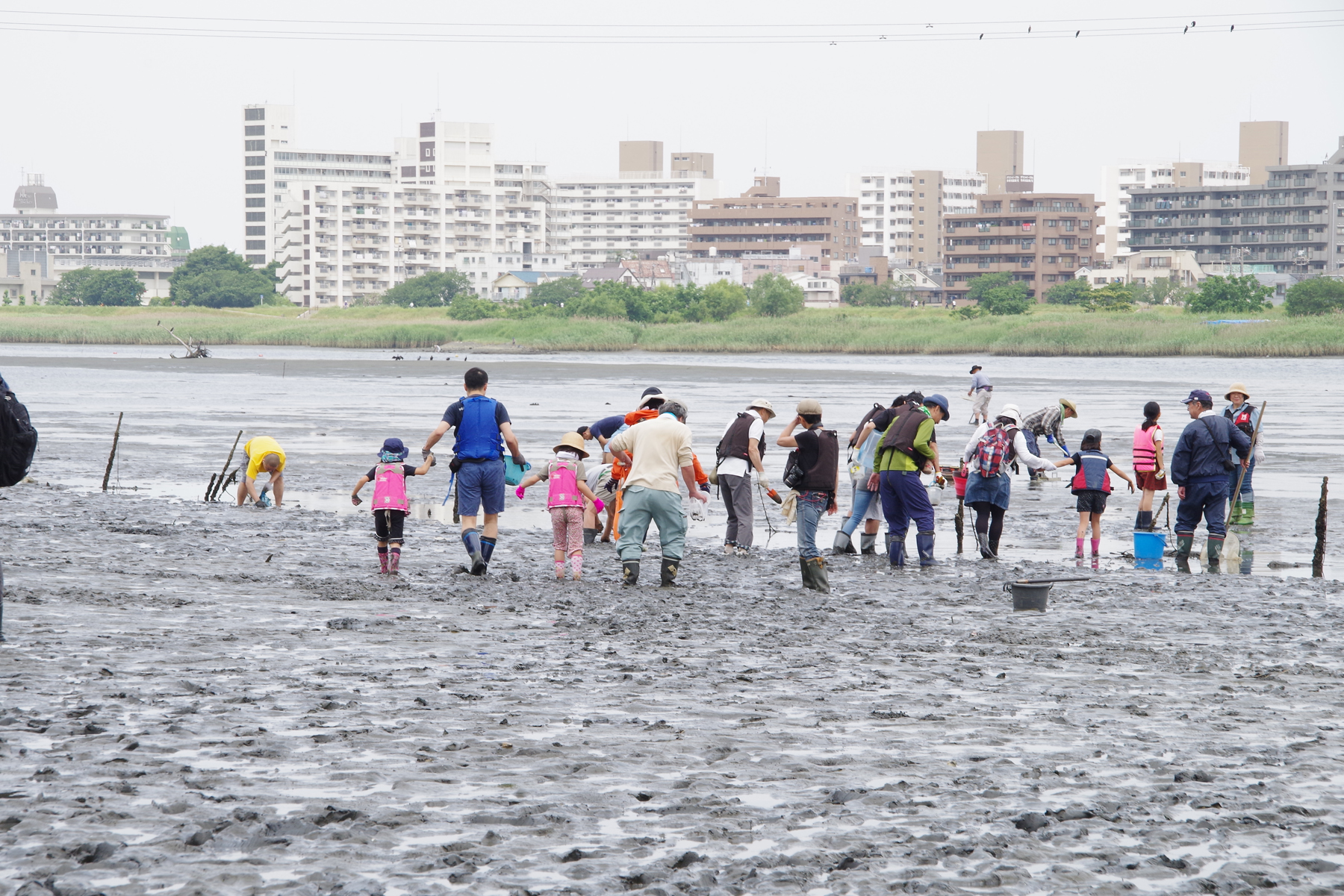 河口干潟観察会