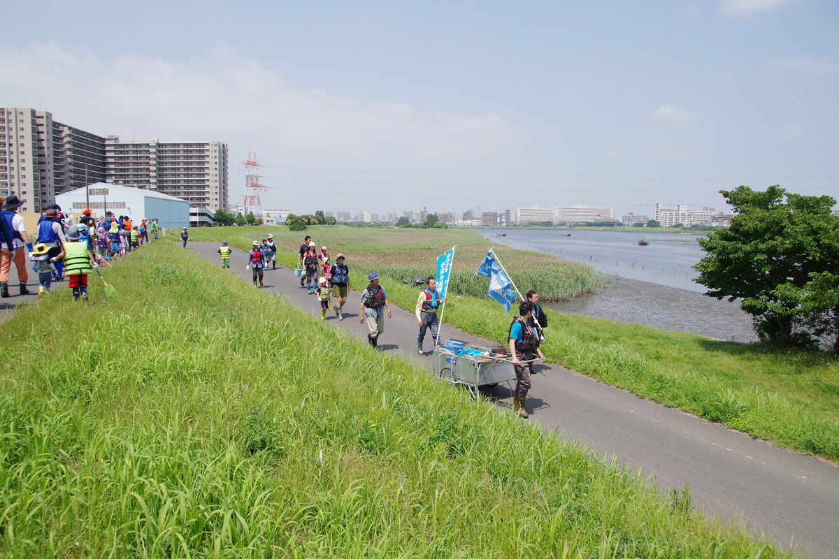 ３校合同 河口干潟観察会