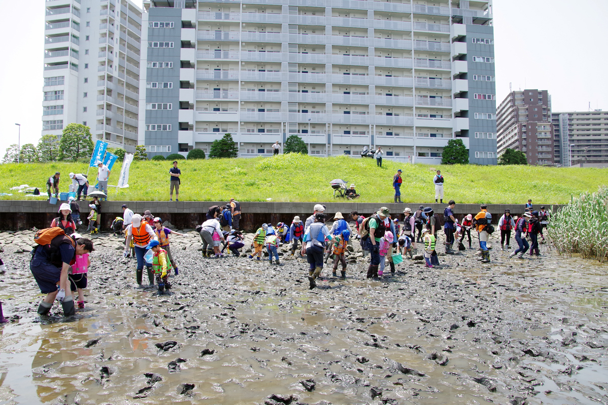 ３校合同 河口干潟観察会