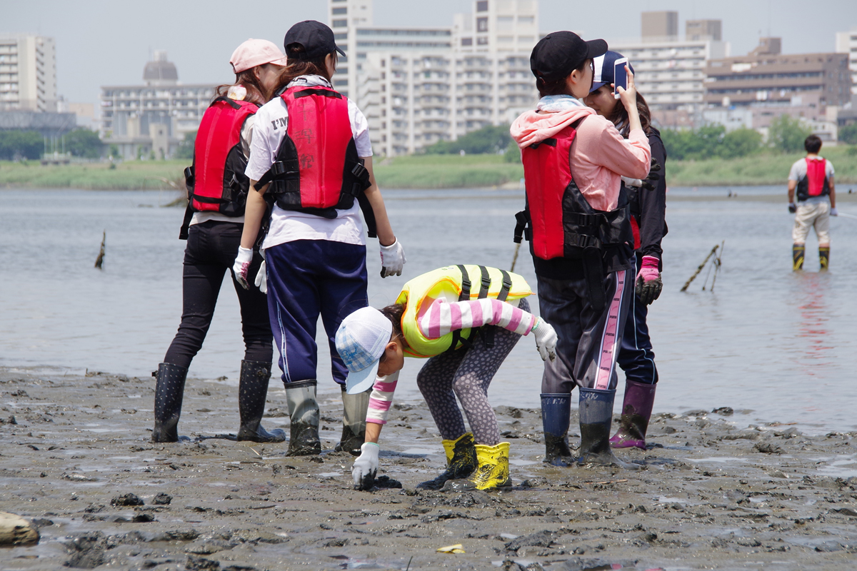 ３校合同 河口干潟観察会