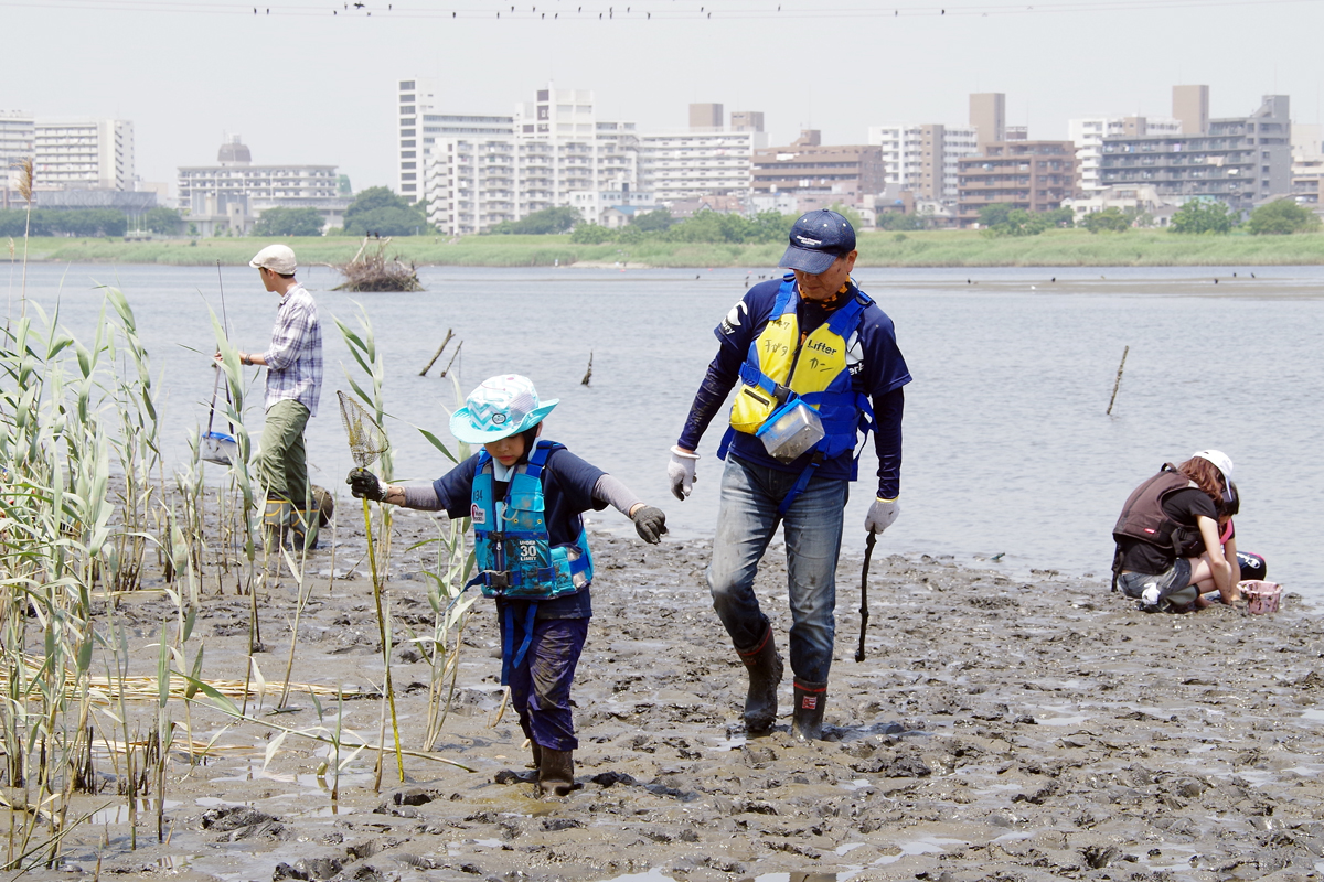 ３校合同 河口干潟観察会