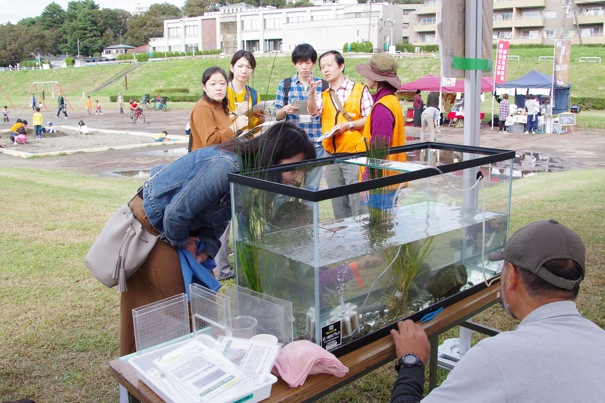 丸子の渡し祭り