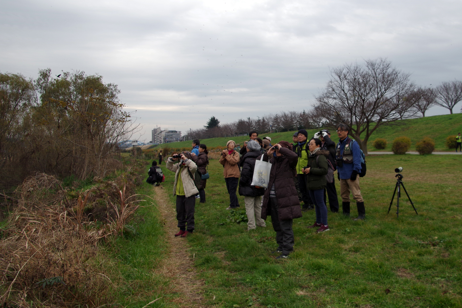 野鳥観察会