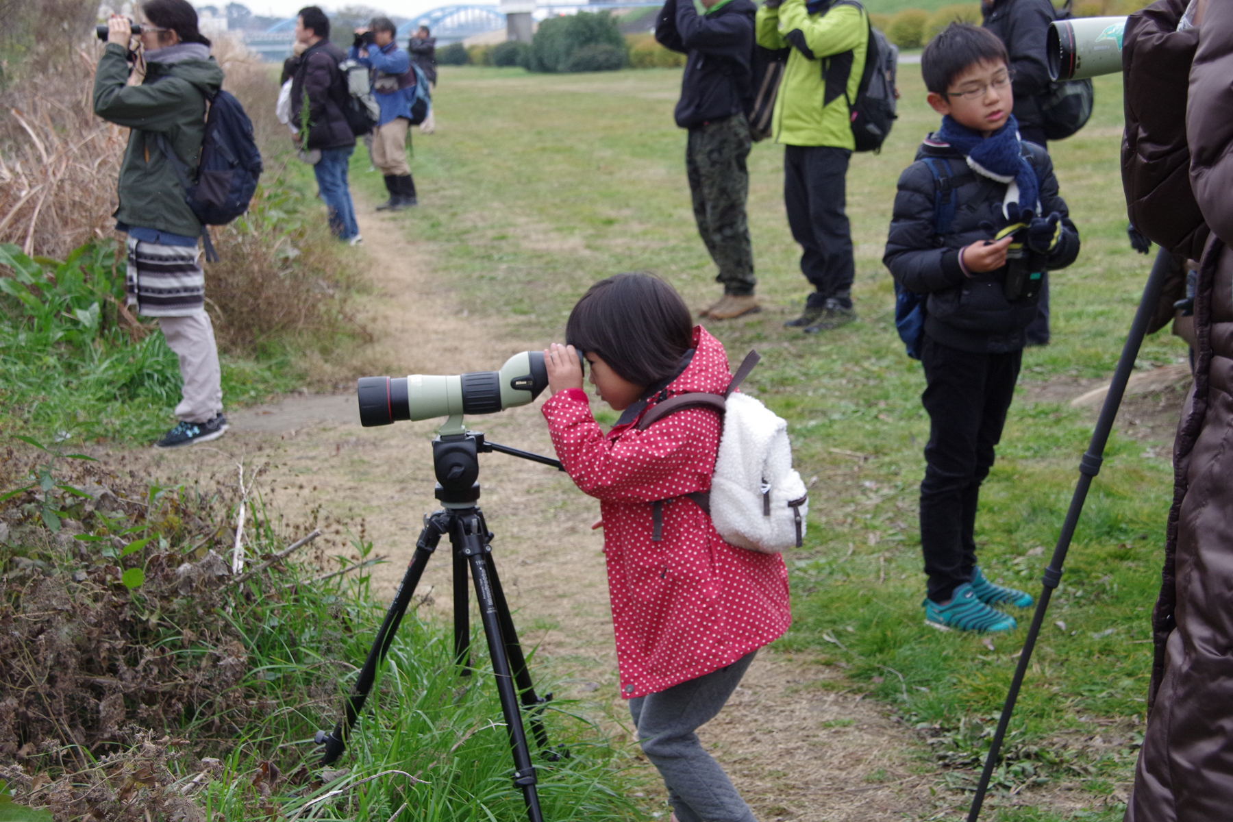 野鳥観察会