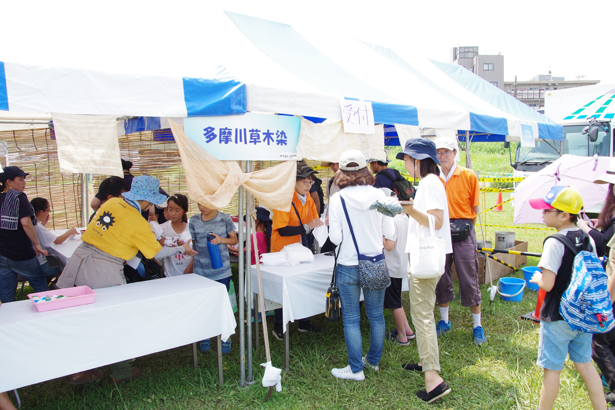 夏休み多摩川教室　草木染め