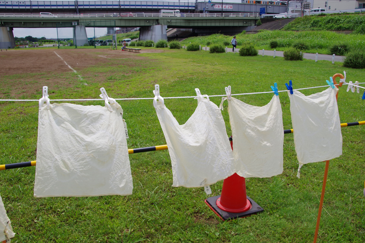 夏休み多摩川教室　草木染め