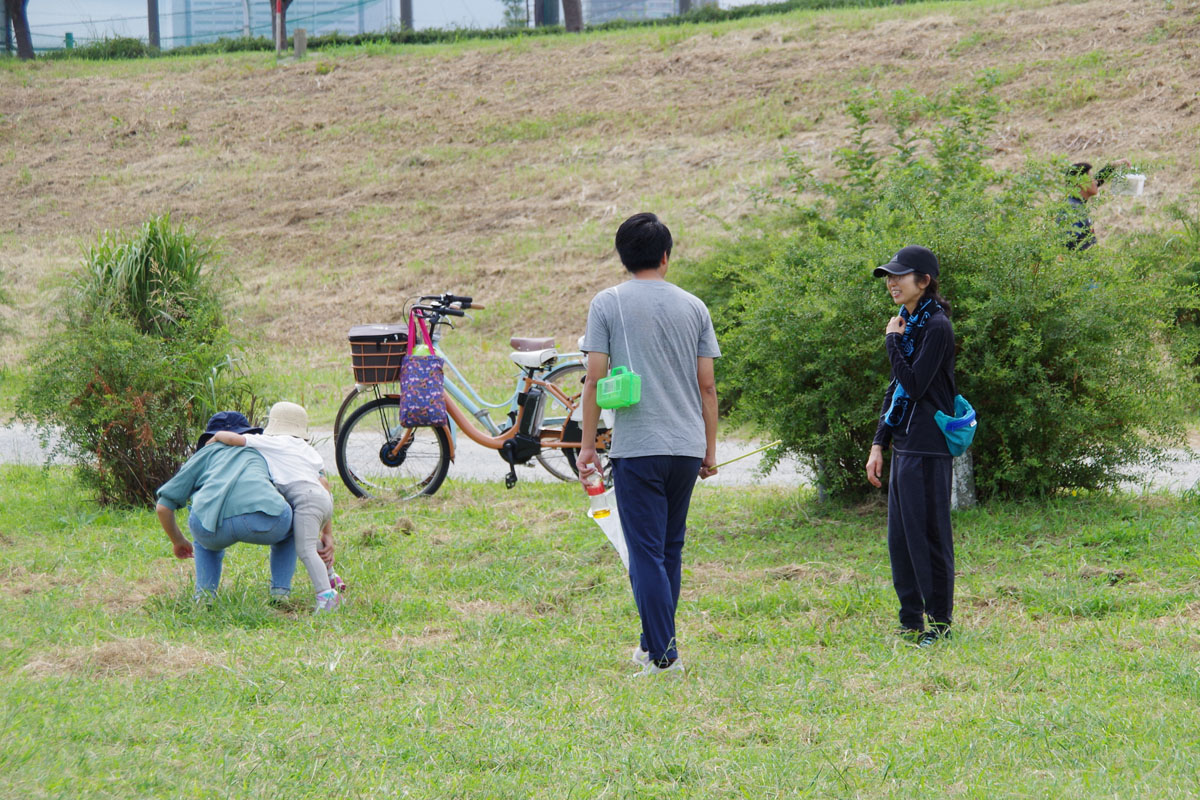 昆虫観察