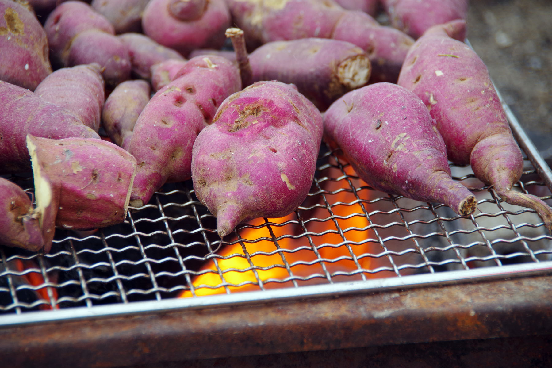 多摩川クリーンアップ・焼き芋大会