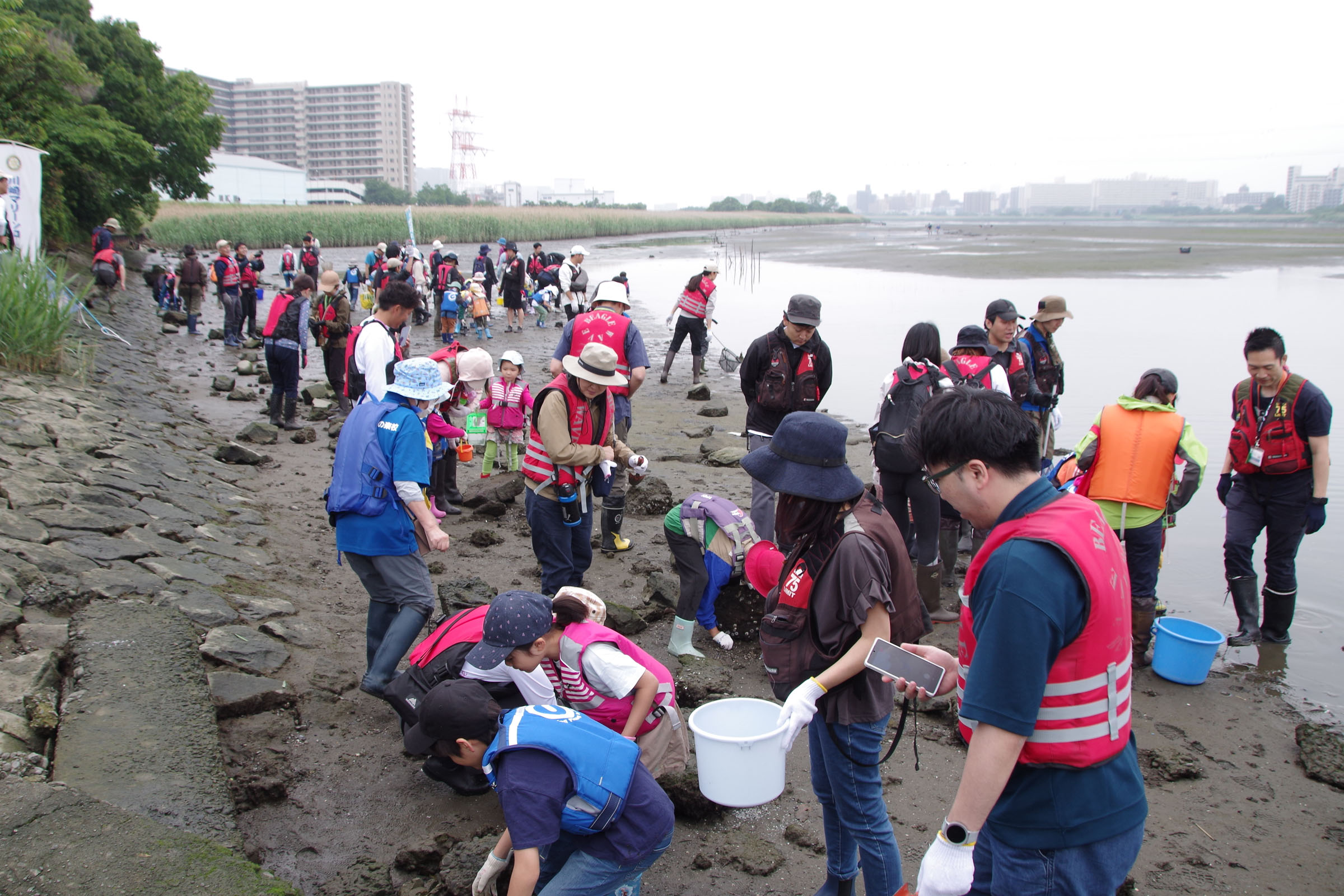 干潟観察会  class=