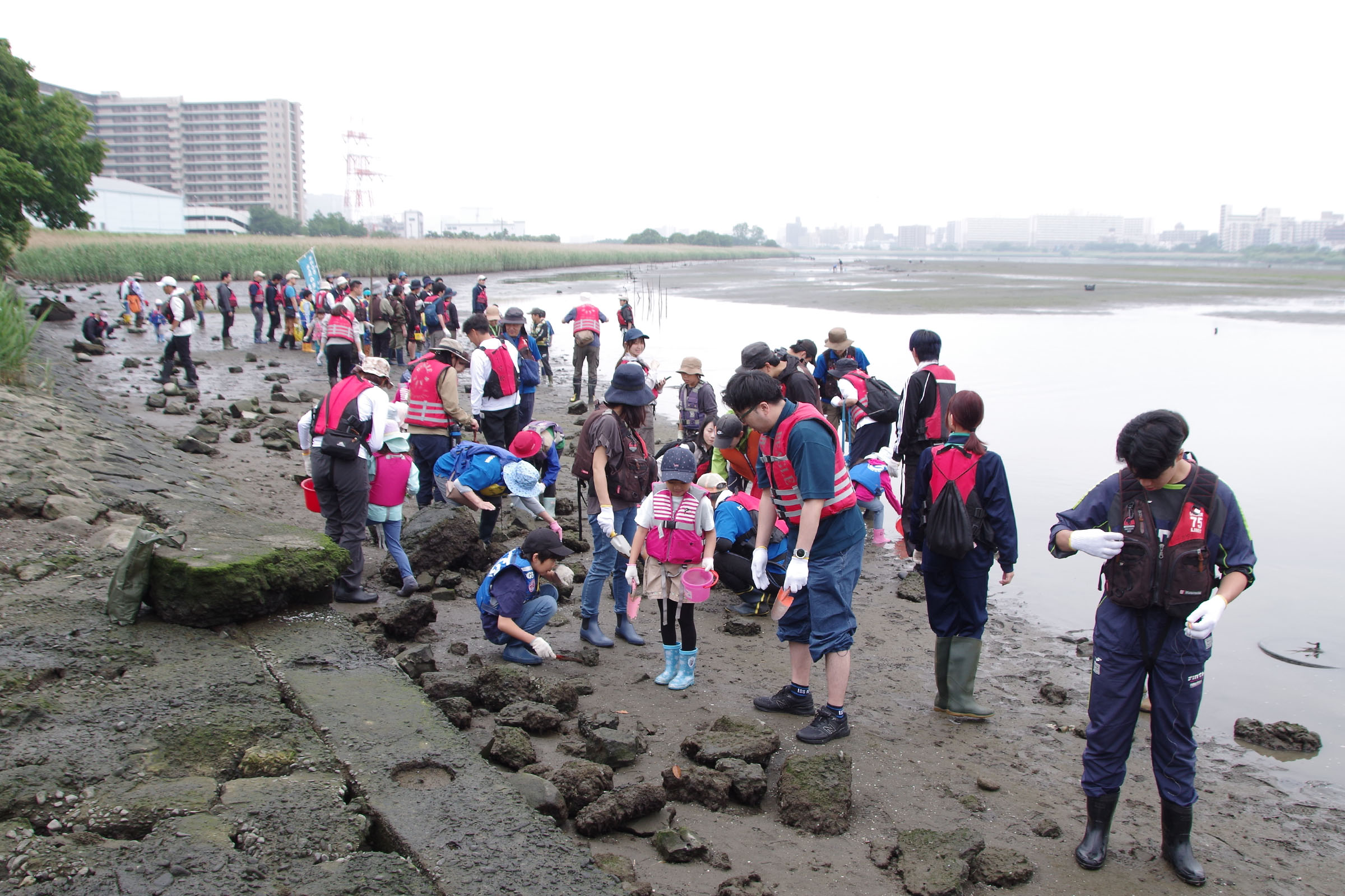 干潟観察会  class=
