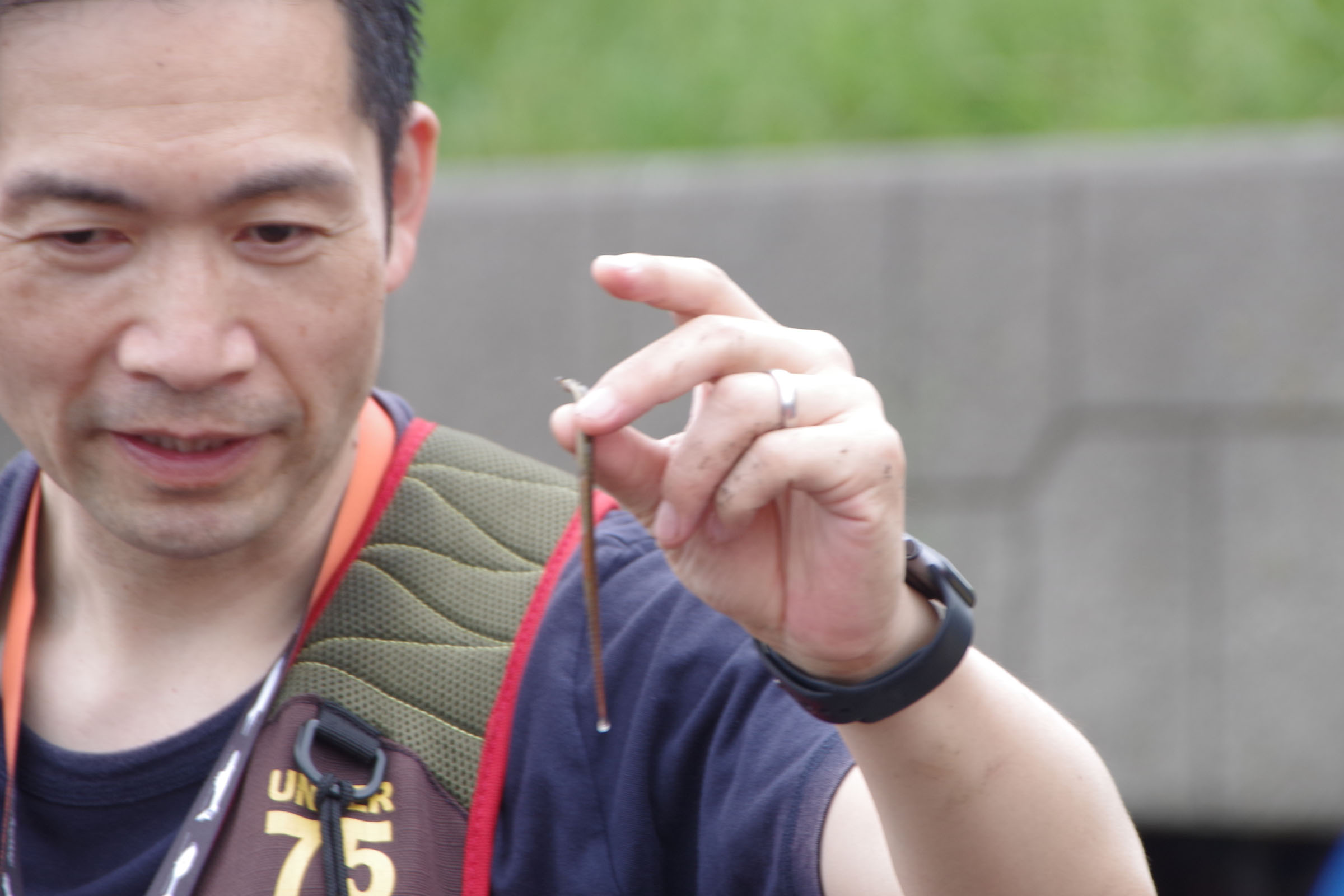干潟観察会  class=