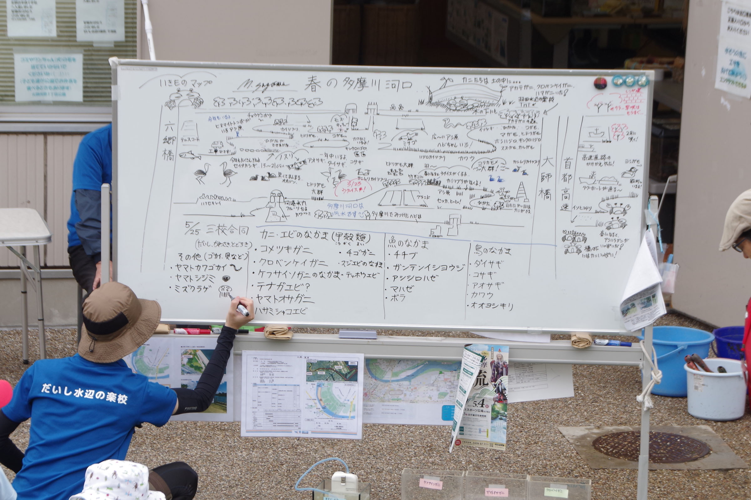 干潟観察会  class=