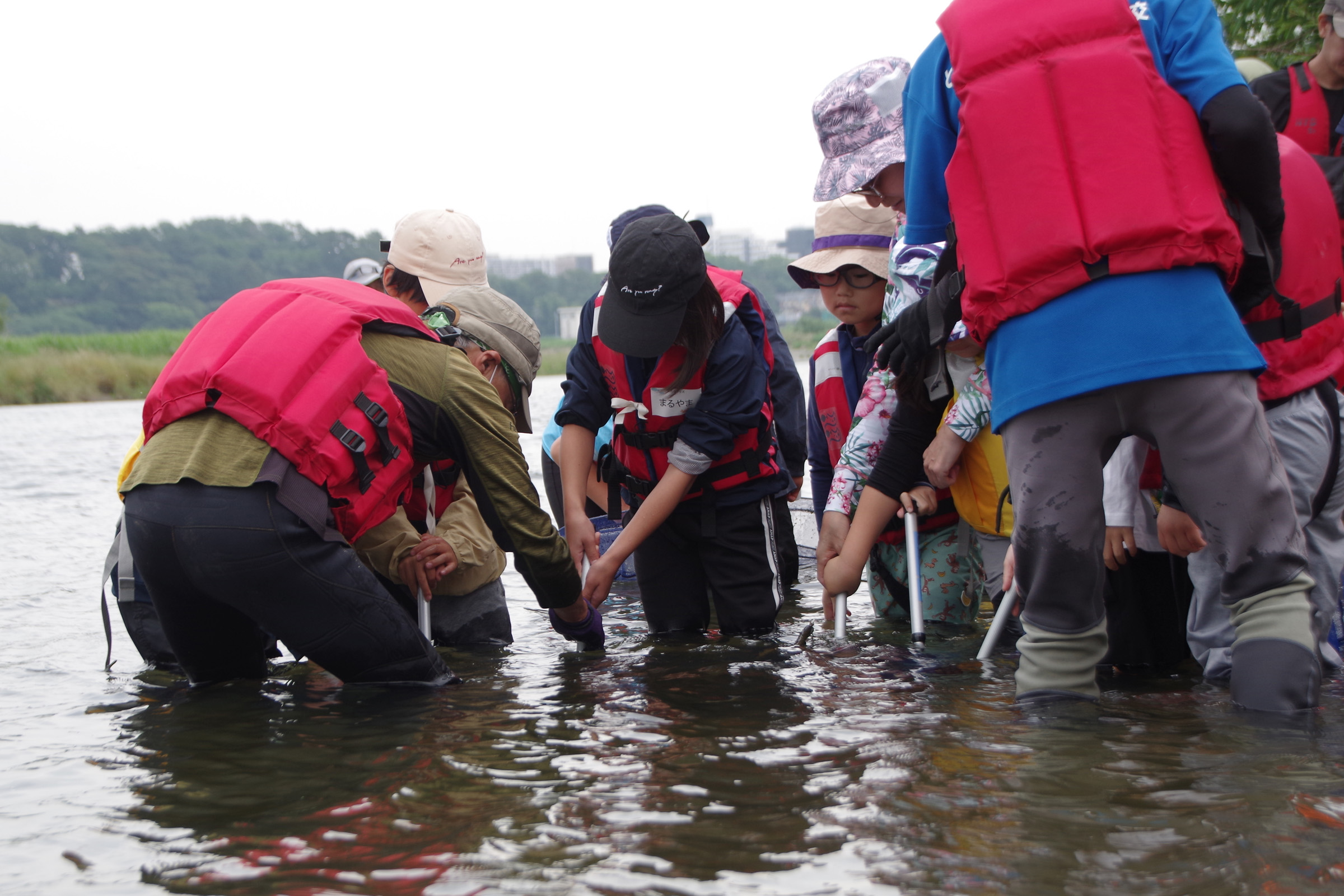 『川の生きもの観察会（ガサガサ）』
