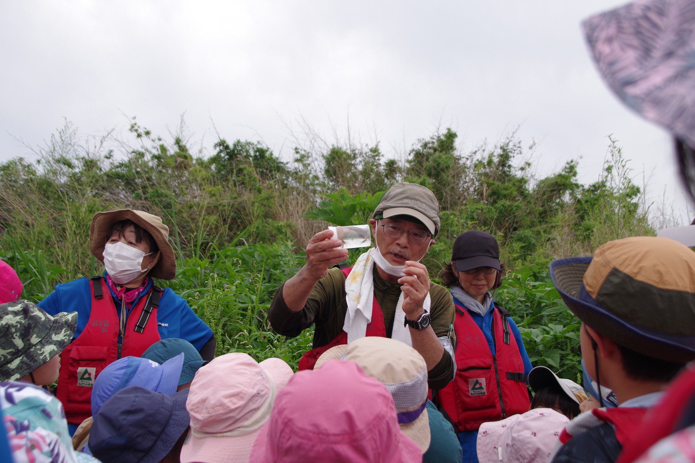 『川の生きもの観察会（ガサガサ）』