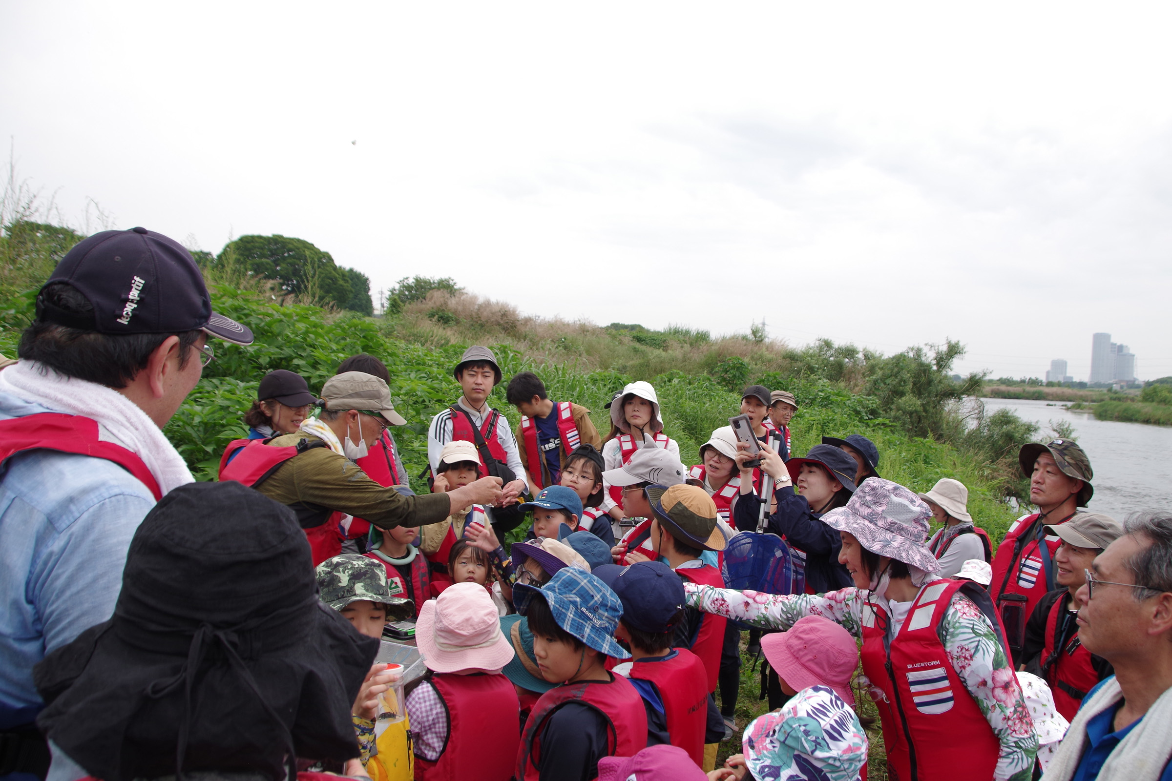 『川の生きもの観察会（ガサガサ）』