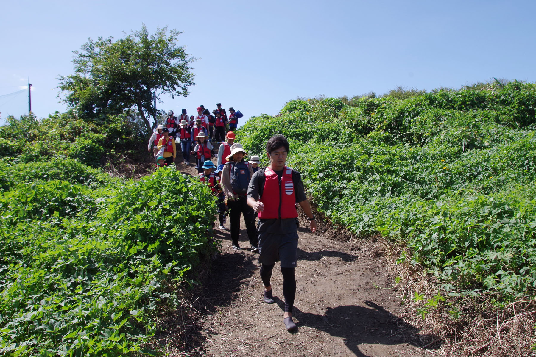 『川の生きもの観察会（ガサガサ）』