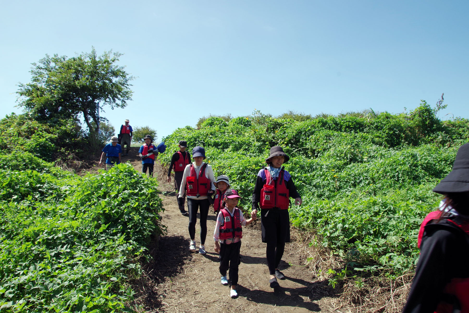 『川の生きもの観察会（ガサガサ）』