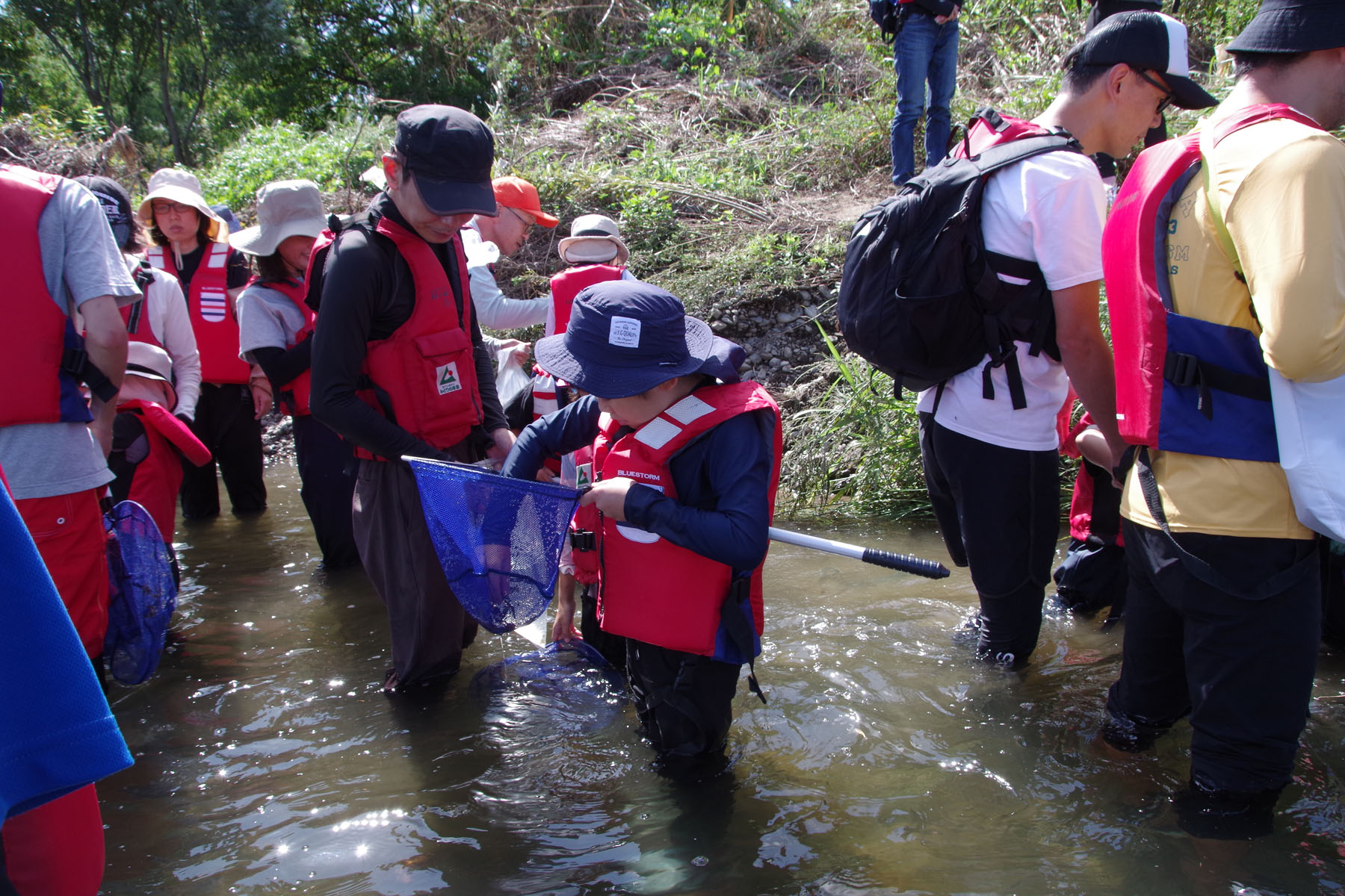 『川の生きもの観察会（ガサガサ）』