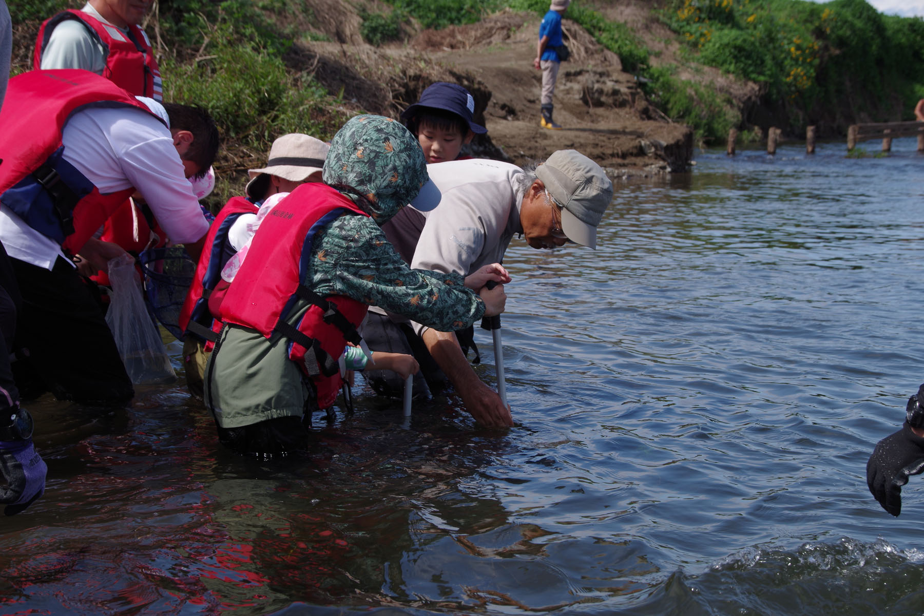 『川の生きもの観察会（ガサガサ）』