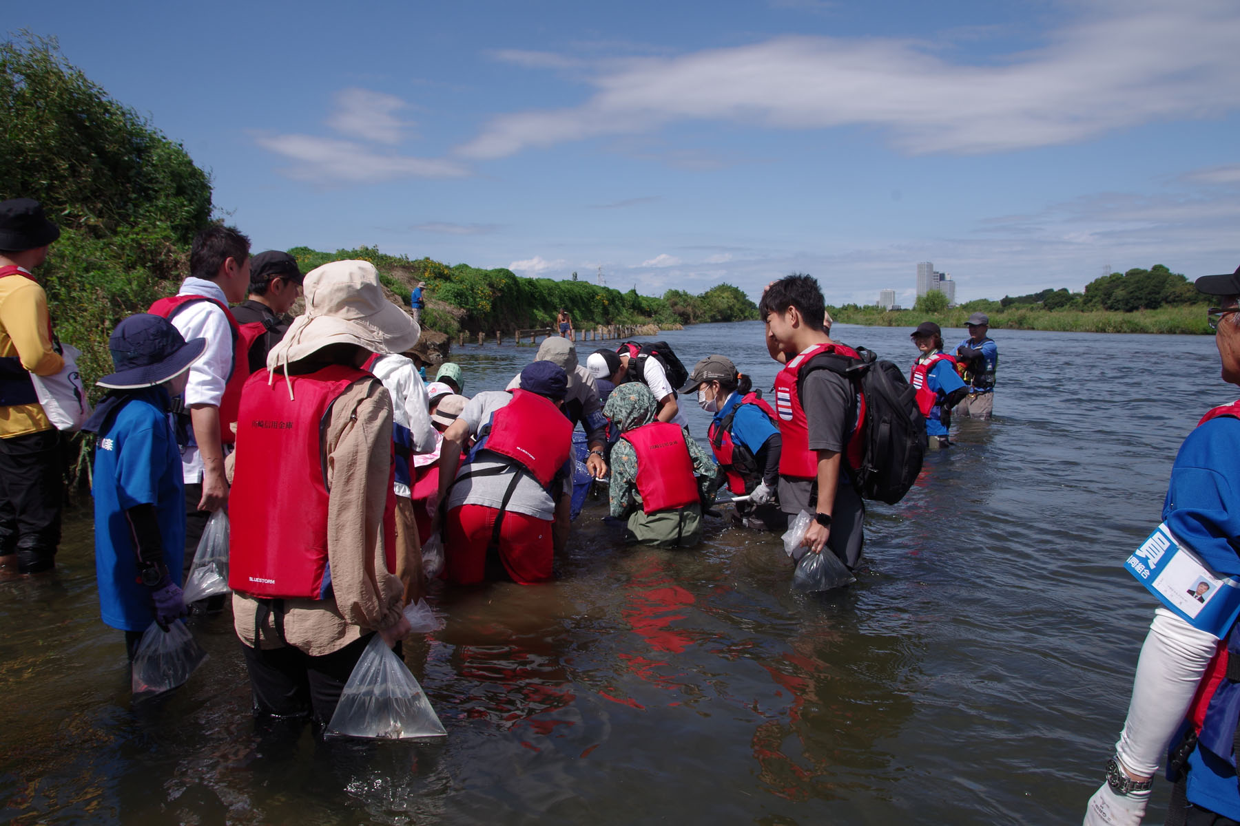 『川の生きもの観察会（ガサガサ）』