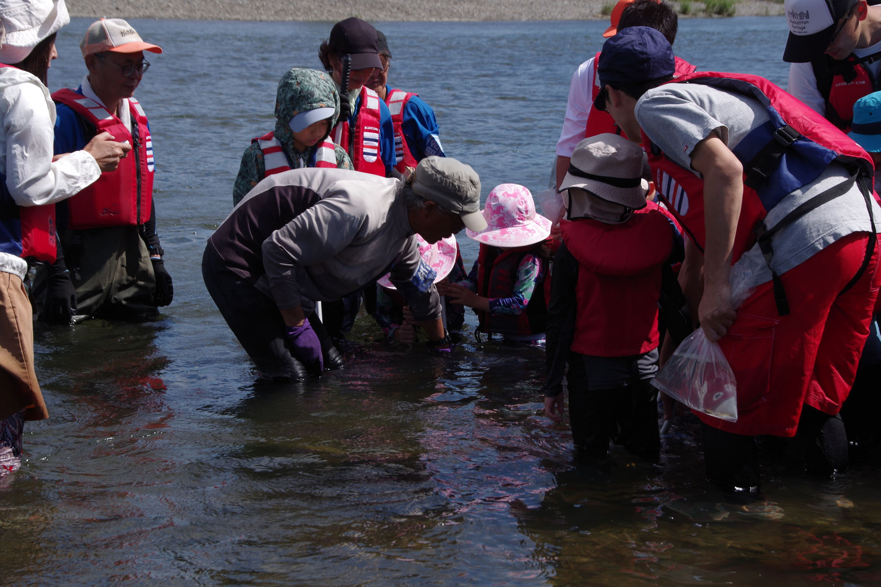 『川の生きもの観察会（ガサガサ）』
