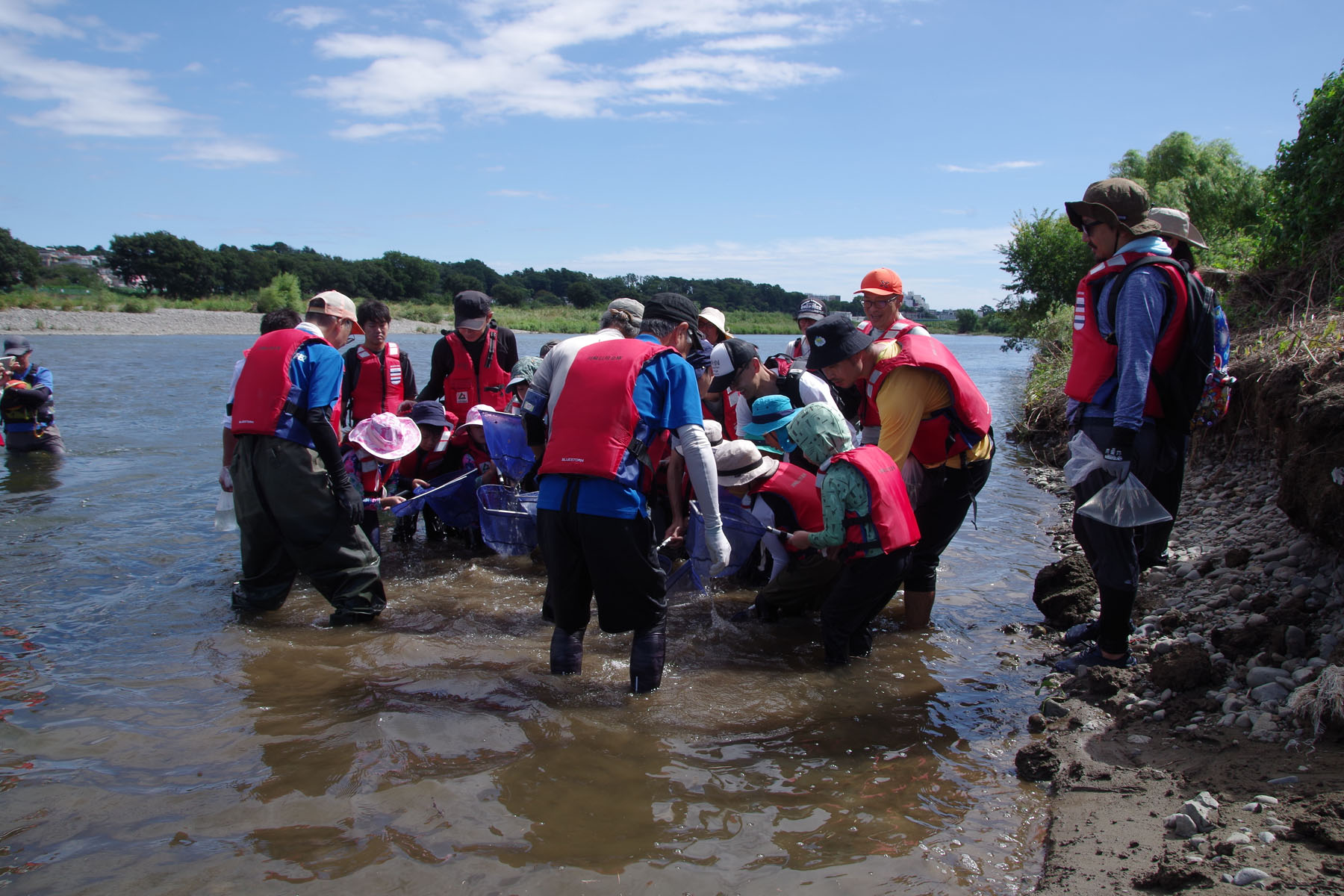 『川の生きもの観察会（ガサガサ）』