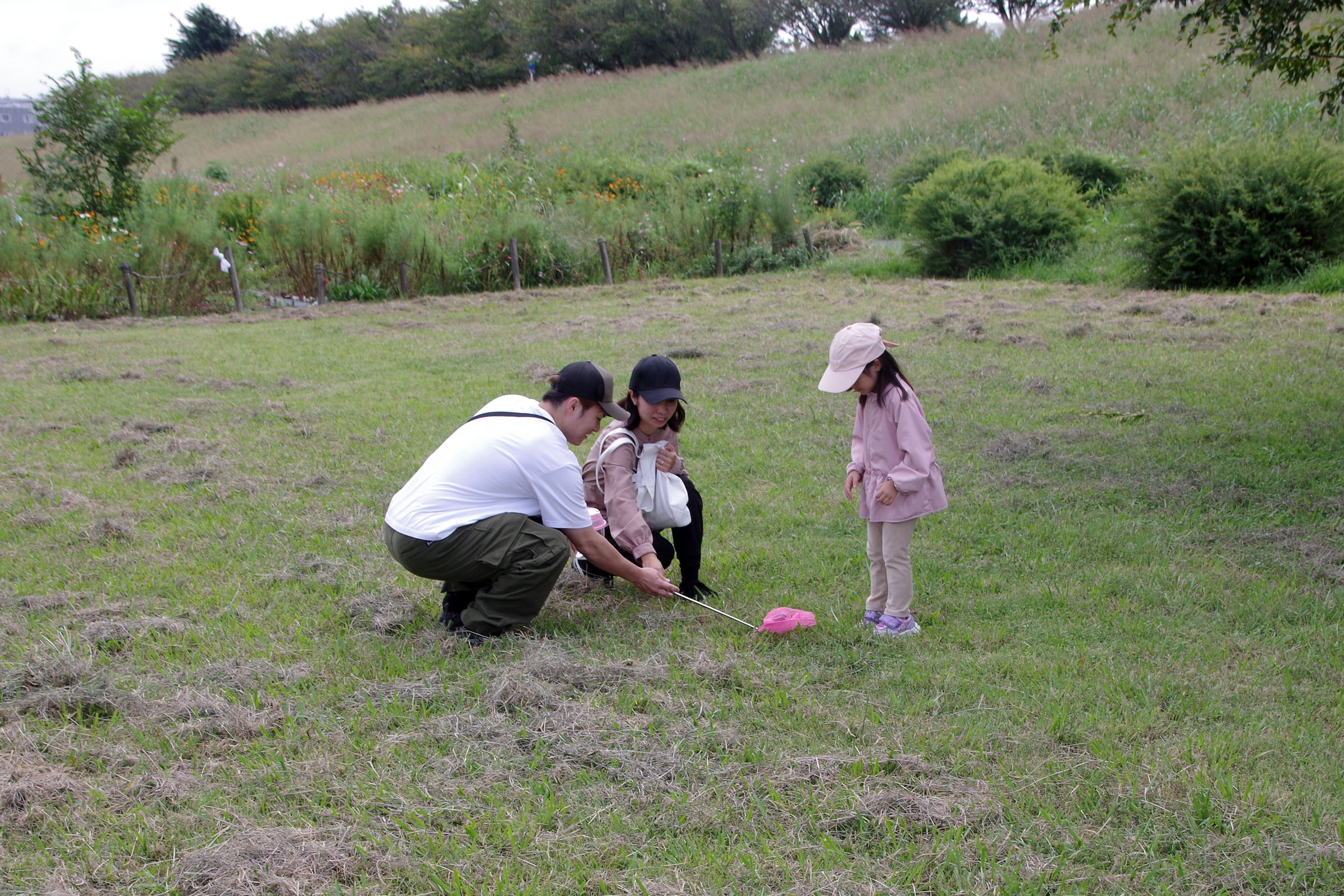 『昆虫観察会』